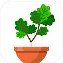 植物日记手机游戏安卓版下载 v1.0.1无限氧气破解版